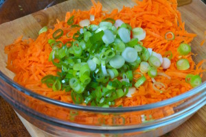 Carrots and Green Onions
