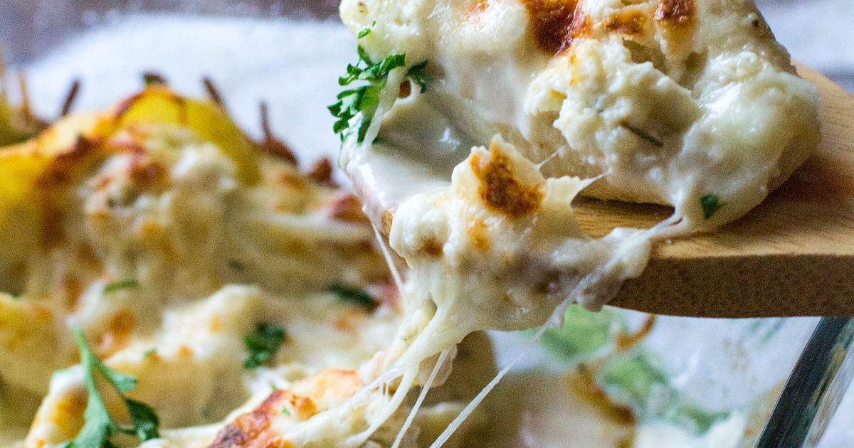 Chicken Alfredo Pasta Shells - What the Forks for Dinner?