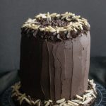 Best Ever Dark Chocolate Cake