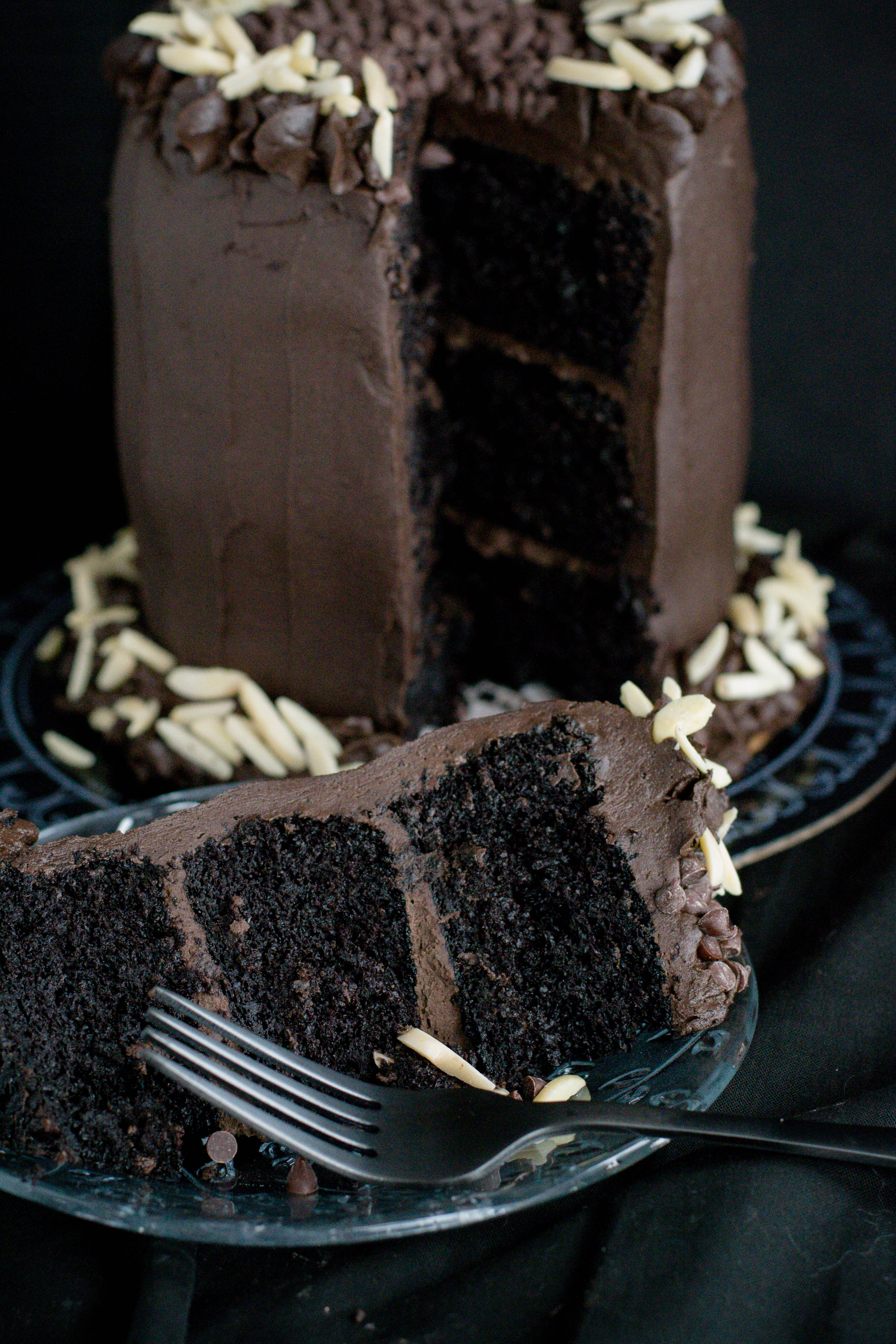 Best Ever Dark Chocolate Cake - What the Forks for Dinner?